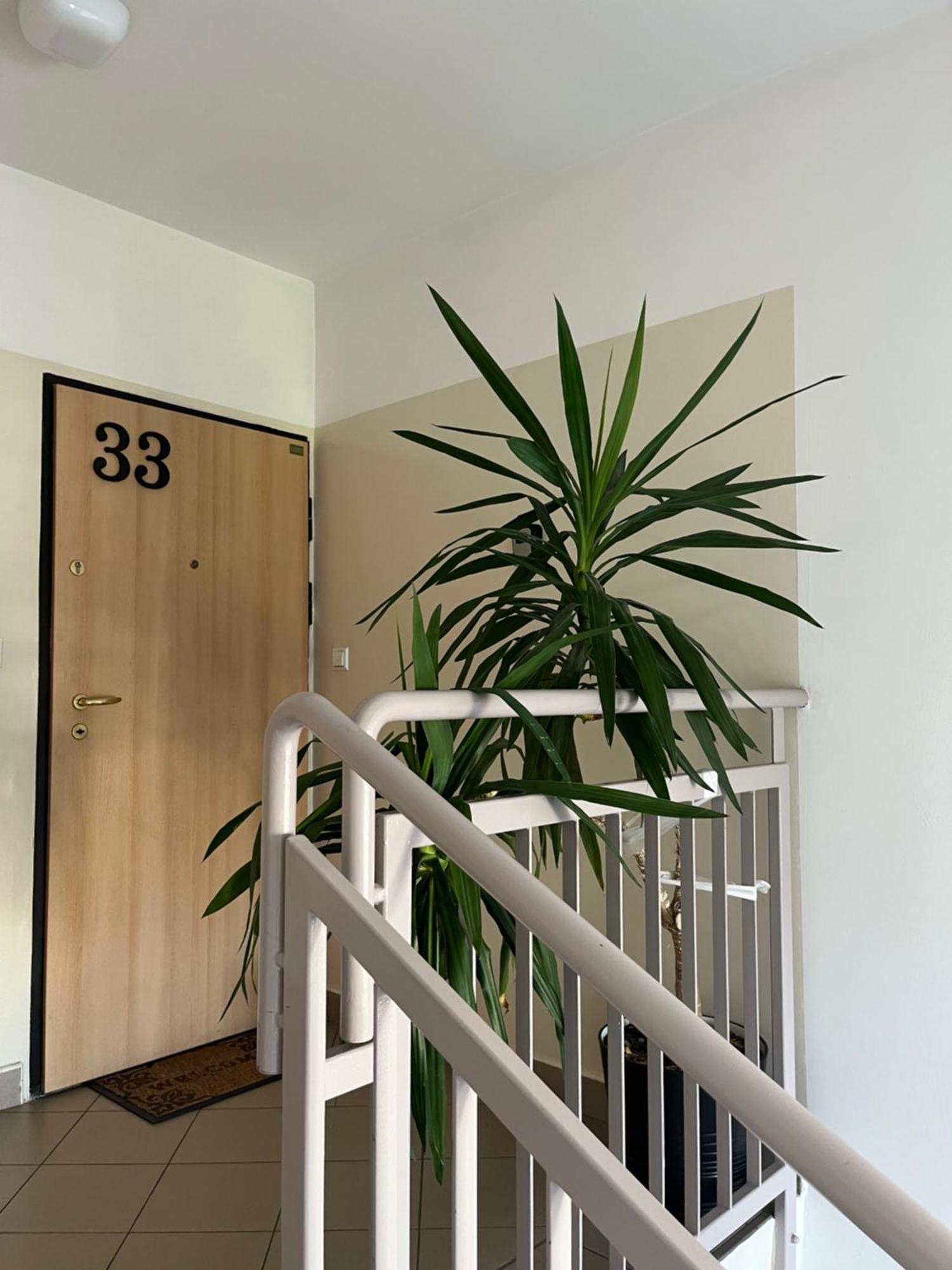 Appartement Soltysowska- Garaz Bezplatny